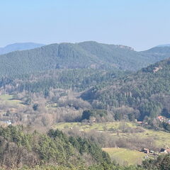 23-03-01 14-13-54 4529